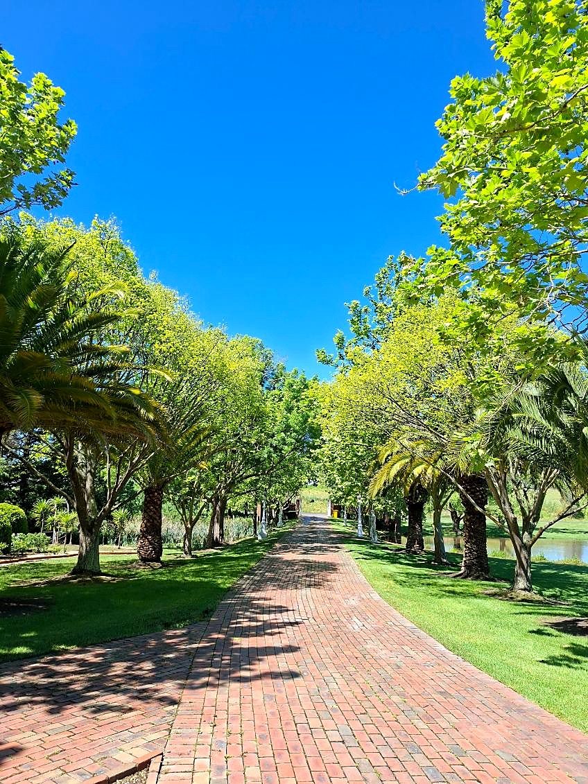 Tree-lined red brick avenue